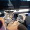 photo_817793