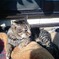photo_817796