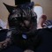 photo_817800