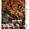 俳諧歳時記128・・♪