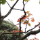 765E6309-AFB5-417F-A7CA-B6940A27E86A