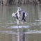 葛西臨海公園