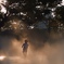 In the mist
