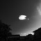 白い雲