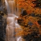 Brown Falls