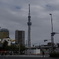 the tower