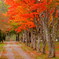 DSCN0323