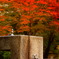DSCN0332