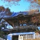 寺の向こうに空を仰ぐ