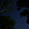 夜空
