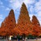 2017 上野動物園で