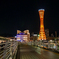 みなと夜景 神戸-2