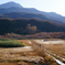 鳥海山5合目竜ヶ原湿原