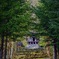 天人峡神社