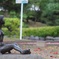 たそがれ