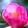 4C9F8C66-24BE-49B8-96D7-D674AC1C8EF3