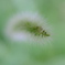 5C907808-CCD9-45F2-A0F6-14E052C82663