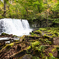 Waterfall Near Decayed Trees  