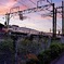 DSCF1067