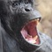 動物園での一枚