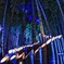 第９回桑西・竹の十三夜