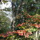 DSC00071