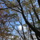 DSC00072