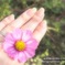 cosmos ring*