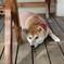 ふきげんな日