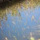 砥峰高原 水鏡