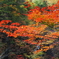 大滝2