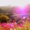 CIMG4819~2