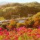 IMG_20181029_183302_117