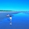 大きな海と小さな背中
