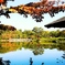 昭和記念公園