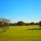 昭和記念公園