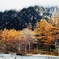 明神岳最南峰と紅葉の小梨平