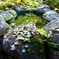 秘密の手水場