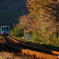 自作レンズ 185mm f3.4