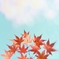紅 葉 衣