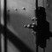 Iron  door
