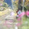 ま ぼ ろ し