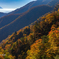 紅葉日和