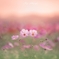  sweet feelings
