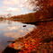 DSCN0699_1
