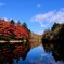 軽井沢　雲場池