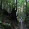 yakushima_04