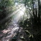 yakushima_05