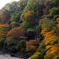 わ鐵　紅葉状況
