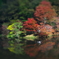 人造湖の紅葉